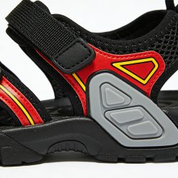 s32203.jpg